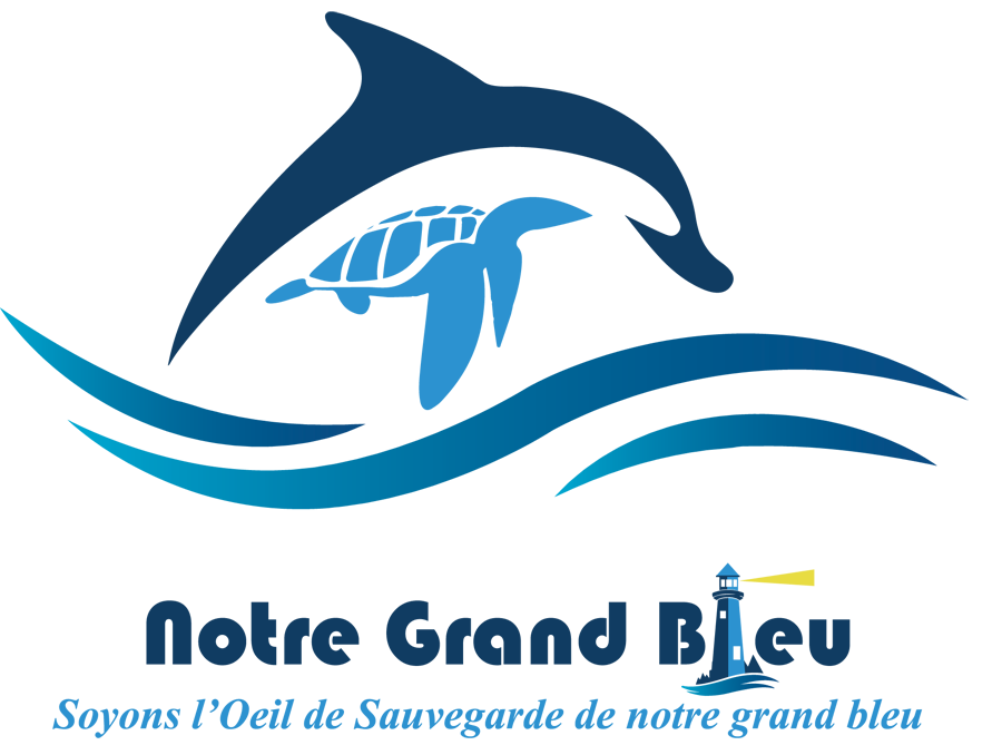 Notre Grand Bleu